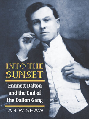 cover image of Into the Sunset